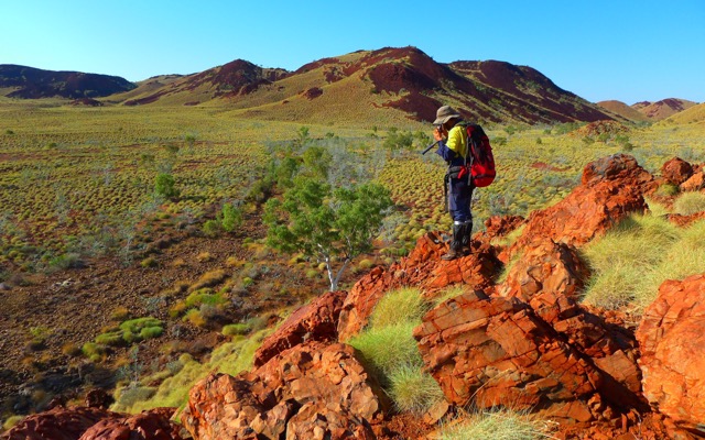Cover Image for Novo Resources identifies hot Pilbara gold opportunity