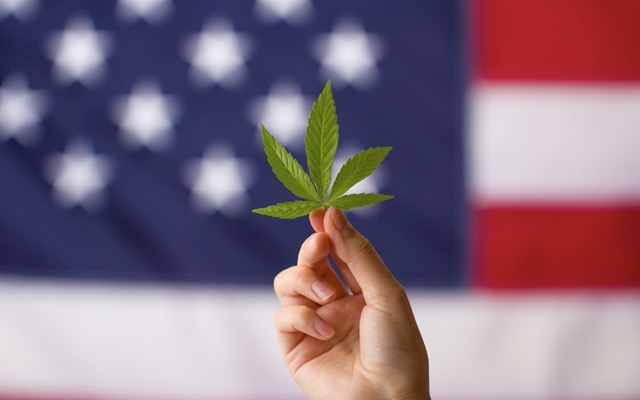 Cover Image for US House of Representatives passes bill to decriminalise cannabis nationwide